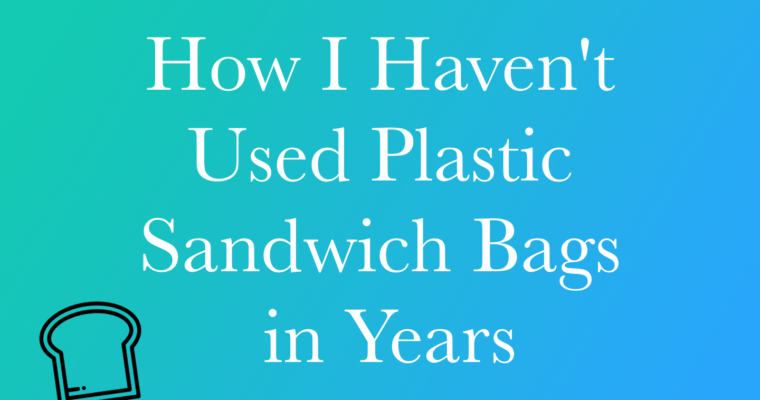 Easy Way To Help The Planet, Ditch Sandwich Bags