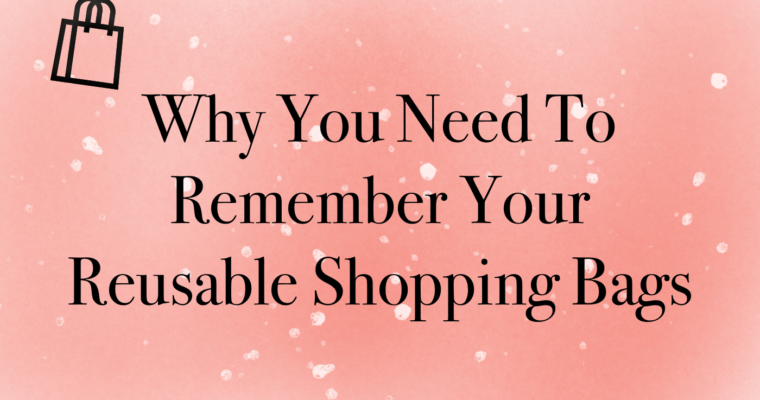 Reasons You Need To Remember Your Reusable Shopping Bags