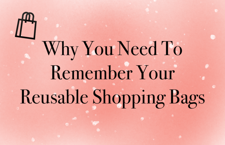 Reasons You Need To Remember Your Reusable Shopping Bags – Save Tomorrow
